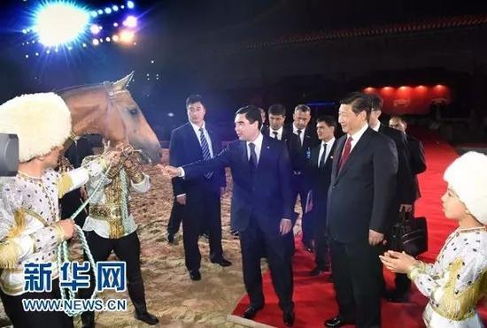 2014年接受土库曼斯坦总统赠予中方的一匹汗血马。记者刘建生 摄