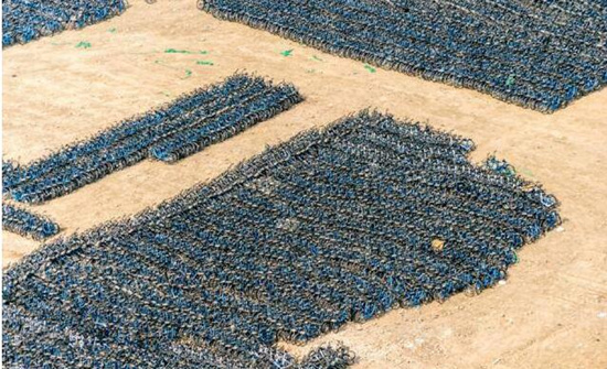 2500平米停车场搁置6万小蓝单车 或将被重投市场