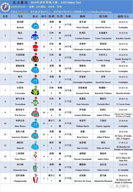 ▲图/Meydan Racecourse