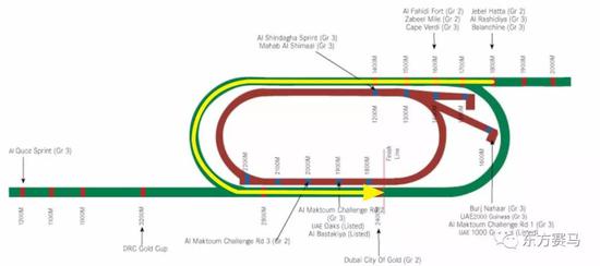 ▲表/花和尚，源/Racing Post、ERA、HKJC
