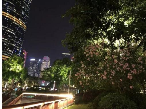 摄影实力大PK！华为P20 Pro与iPhone X样张对比