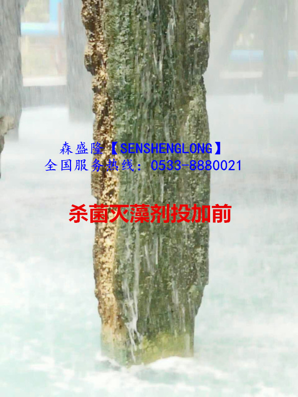 杀菌灭藻剂SM305氧化性杀菌高效