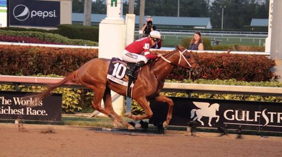▲图/Pegasus World Cup,「铤而走险」