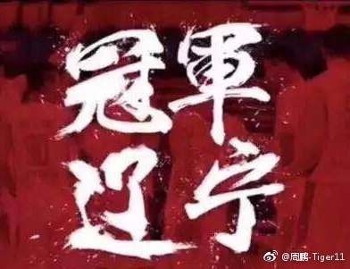 辽宁总冠军!