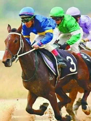 覃勇策骑“火凤凰”参加第十一届中国·武汉国际赛马节