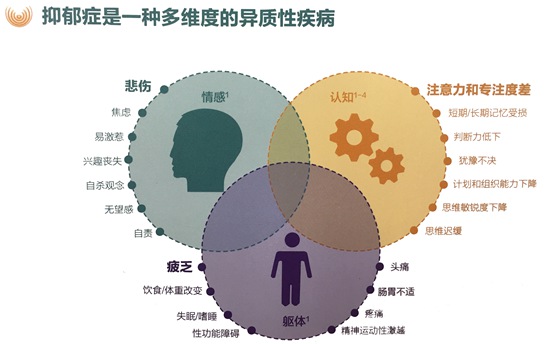 北京医学会抑郁障碍医学分会供图