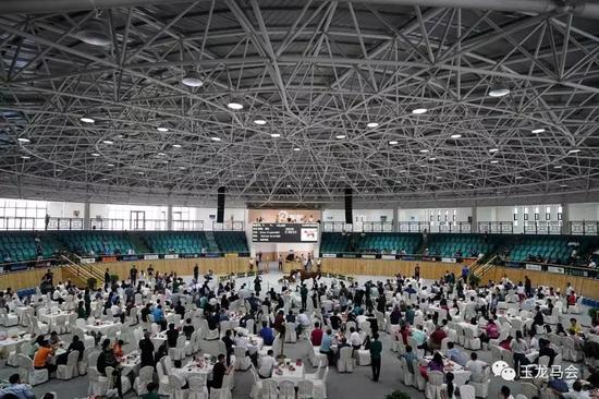 玉龙纯血马拍卖会拍卖盛况