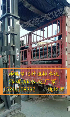南京3cm_6cm车库阻根排水板