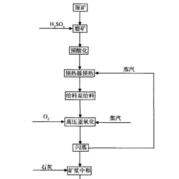 铂思特高硫高砷难选冶金精矿处理技术，黄金选冶技术