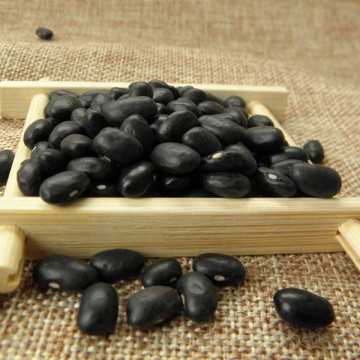 陕西滕灿有机农业有限公司--有机种子土黑豆