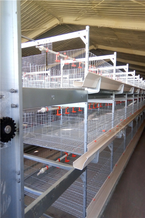 肉鸭笼养设备A肉鸭养殖现代化自动喂料设备A德州肉鸭笼养技术