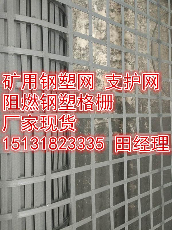 榆林煤矿护帮网假顶网_矿用阻燃抗静电钢塑土工格栅