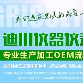 广州迪川仪器仪表有限公司