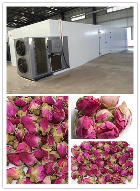 玫瑰花烘干机循环排湿烘干形状饱满药效高整朵造型完整美观