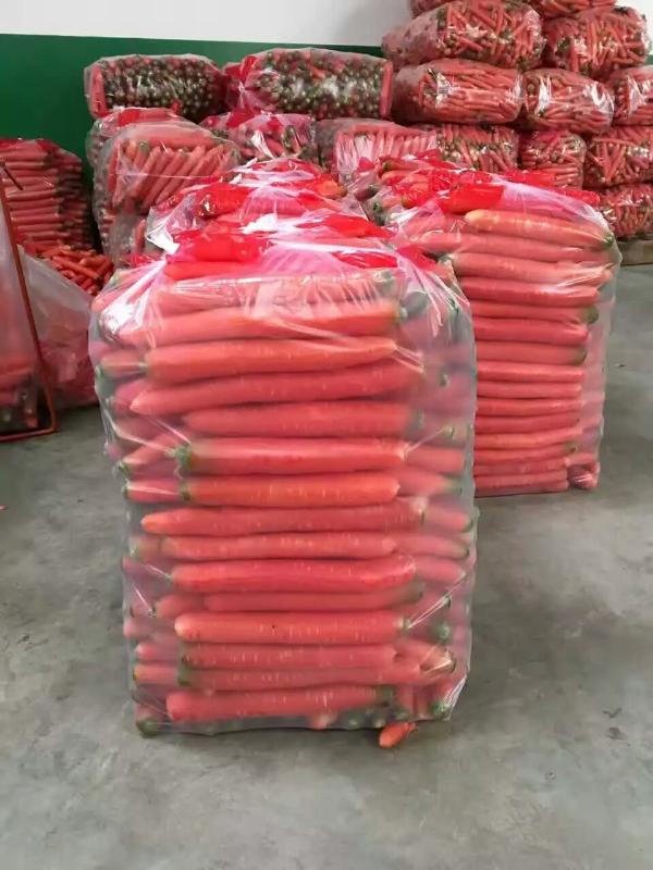 陕西红萝卜价格，冷库红萝卜产地批发价格