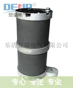 rxq一次消谐器_浙江登瑞rxq_RXQ_6一次消谐器