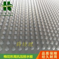 天津塑料疏水板-20高3公分排水板定制