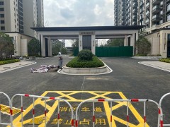 南京道路划线种类