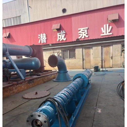 天津高扬程卧式潜水泵-**江使用卧式潜水泵价格
