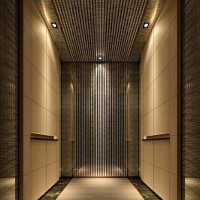 电梯轿厢装潢 乘客电梯装潢 豪华家用电梯装饰