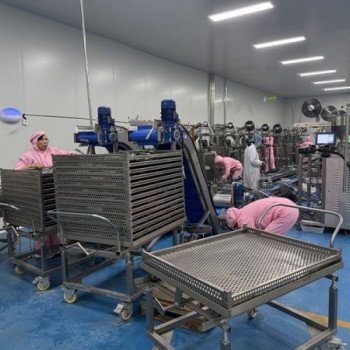 宠物食品加工设备 宠物食品工厂生产线需要的机器