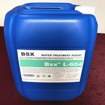 彬盛翔循环水L-604杀菌灭藻剂的产品特点和使用方法