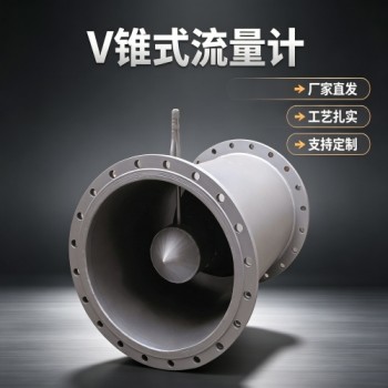 FVL型管路内锥式流量计与厂